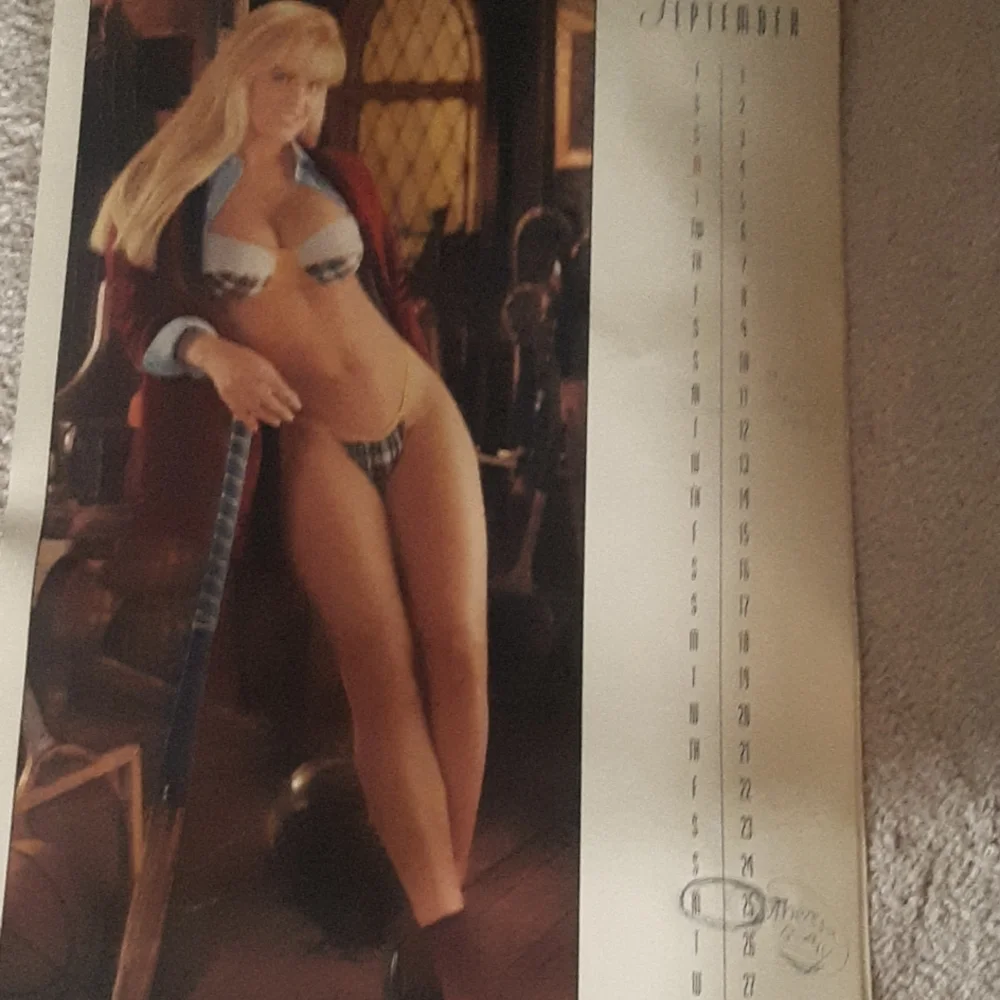 Vtg. 1995 Playboy Calendar - Picture 7 of 8